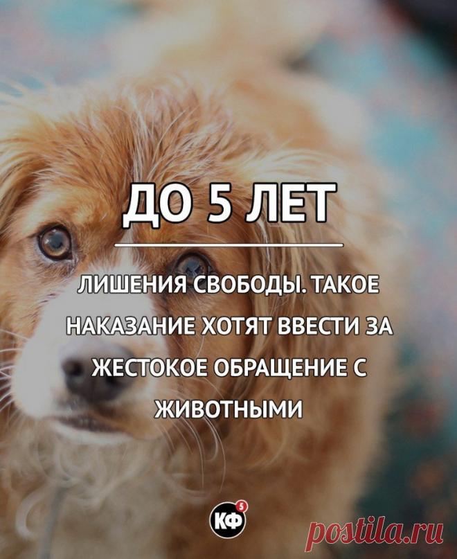 Мой Мир@Mail.Ru