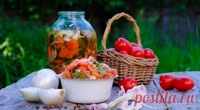 Маринованные помидоры от шефов братьев Березуцких (почти по маминому рецепту), пошаговый рецепт с фото