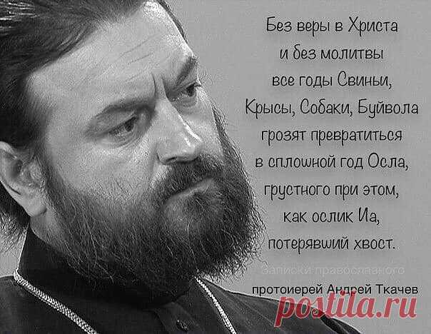 ЧЕГО ОЖИДАТЬ ОТ ГОДА СВИНЬИ?