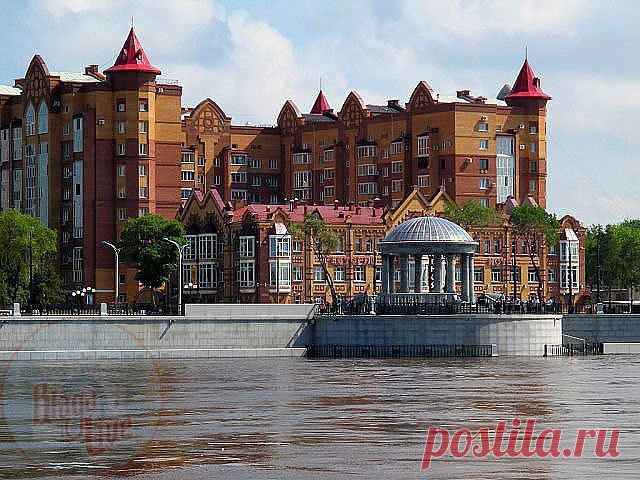 (9) Одноклассники