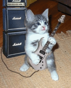 ГИФ - Google+