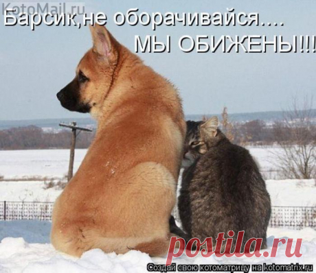 Мы обижены!