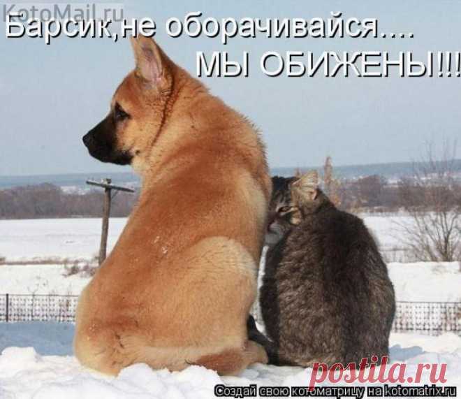 Мы обижены!