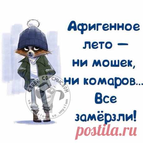 шутки про лето из интернета
