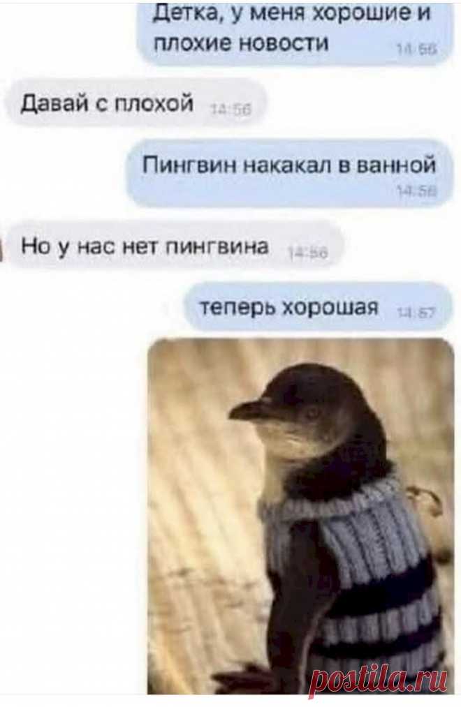 Выпуск №6536 - выпуск анекдотов сайта вокруг смеха