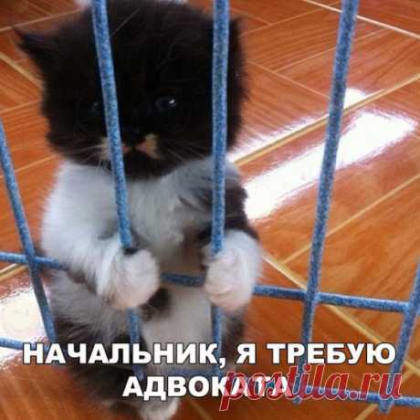 Google+