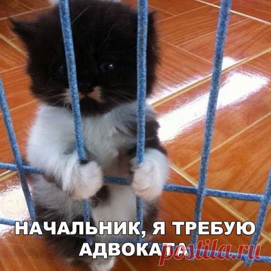 Google+