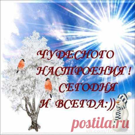 Архив открыток отправленных 16 Декабря 2014 года. Добавили: Елена