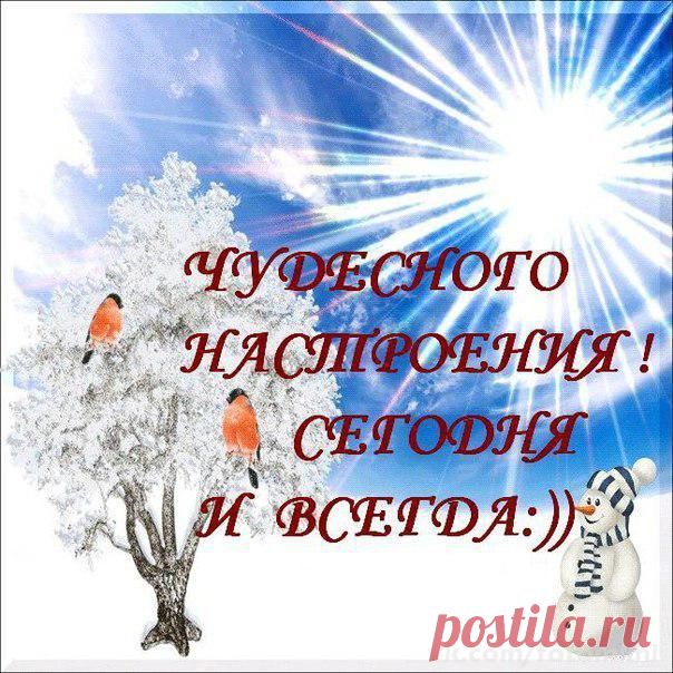Архив открыток отправленных 16 Декабря 2014 года. Добавили: Елена