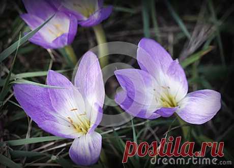 Stock Photos And Royalty-Free Images By Dreamstime