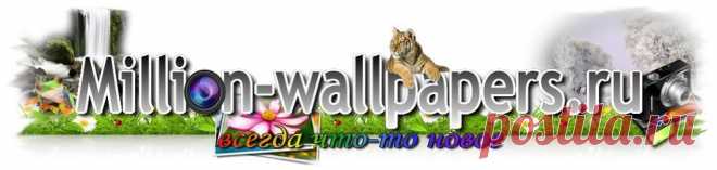 Красотка на белом коне