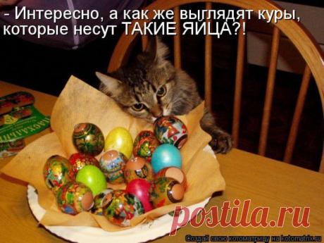 Новости
