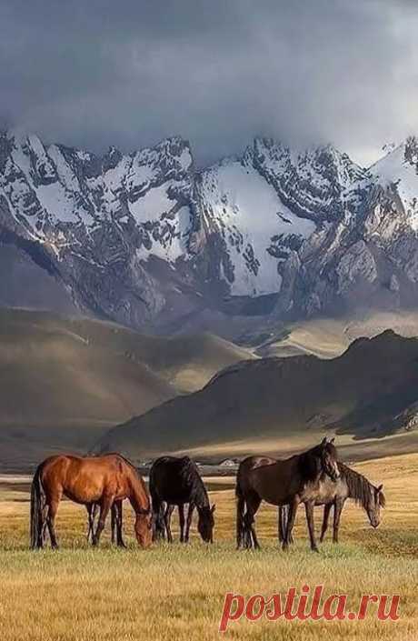 man made and natural wonders