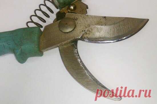 Как заточить секатор в домашних условиях | Виноградарь - Vinedresser | Яндекс Дзен