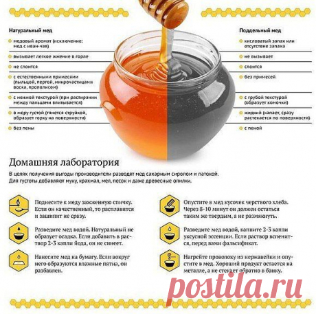 Фотографии на стене сообщества | 32 873 фотографии