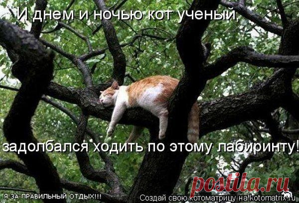 Интересные новости