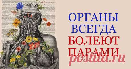 Опытный китайский врач: «Неправильно лечитесь, товарищи! Органы всегда болеют парами...» Секреты традиционной китайской медицины.