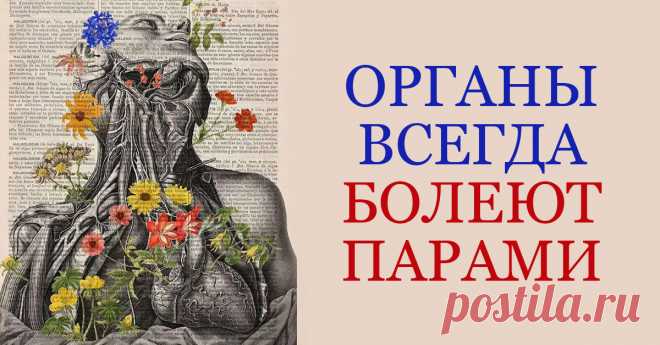 Секреты традиционной китайской медицины.