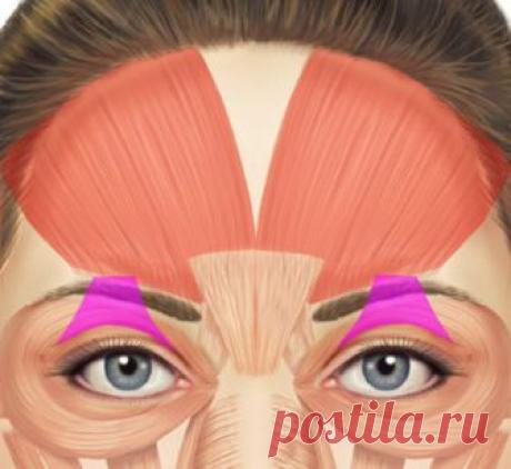 КАК ИЗБАВИТЬСЯ ОТ НАВИСШИХ ВЕК Бороться с возрастное ослаблением мышц век можно! Простые рекомендации помогут вам решить эту проблему и выглядеть моложе!