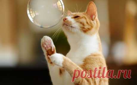 Какая красота вокруг! | KotoMail.ru