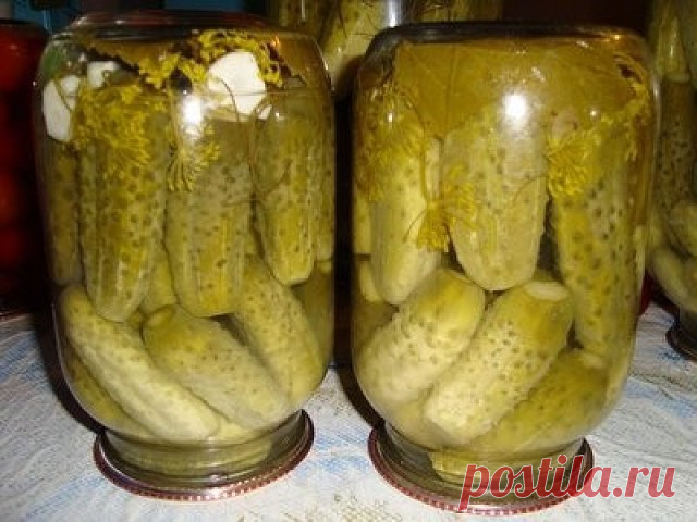 Как я консервирую огурцы, которые никогда не взрываются!