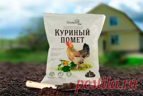 Использование куриного помета для помидоров и огурцов