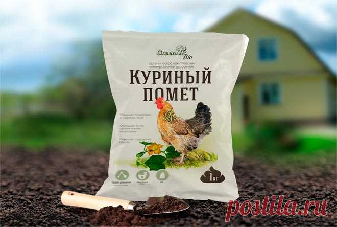 Использование куриного помета для помидоров и огурцов
