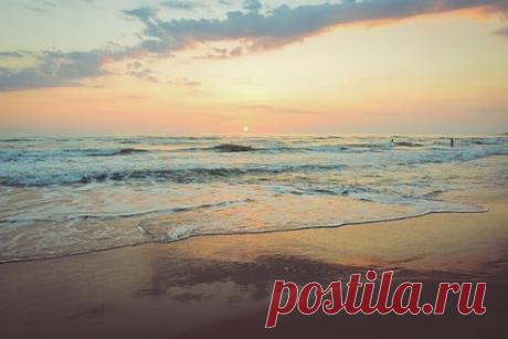 Путешествия из России в три страны подешевели. В конце августа — начале сентября можно улететь из России на отдых в Таиланд, ОАЭ, Ливан и на Мальдивы, не потратив при этом состояние. В эти страны туры стали дешевле на треть, рассказал доцент кафедры гостиничного и туристического менеджмента РЭУ им. Г.В. Плеханова Роман Гареев.