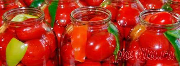 ПОМИДОРЫ «ЦАРСКИЕ». Вкусные, сладкие помидорки. | pokolenie-x.com