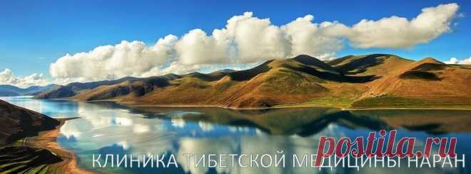 (1) Тибетская медицина. Клиника Наран - Хроника