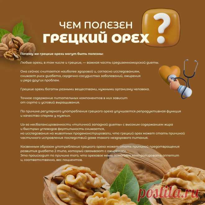 Чем полезен грецкий орех