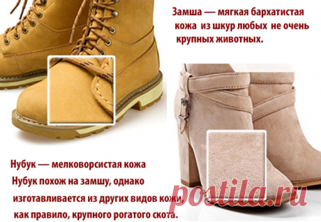 Велюр замша нубук отличия