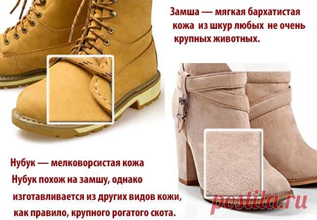 Велюр замша нубук отличия