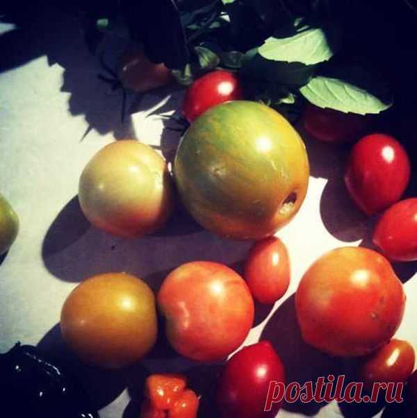 Самоделки