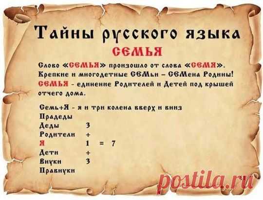 (1) Одноклассники