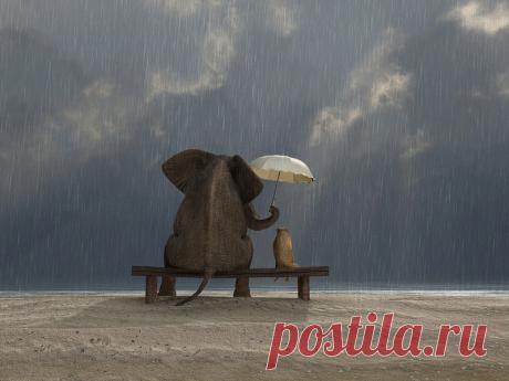 Как не позволить людям управлять вами — 12 золотых правил