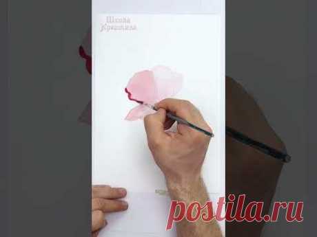 Как быстро нарисовать цветок мака