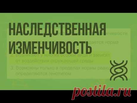 Наследственная изменчивость. Комбинативная и мутационная изменчивость - YouTube