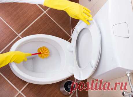 Что делать, чтобы унитаз всегда был идеально чистым: несколько проверенных способов | Андреева Мария | Яндекс Дзен