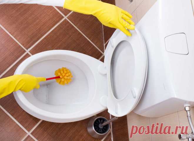 Что делать, чтобы унитаз всегда был идеально чистым: несколько проверенных способов | Андреева Мария | Яндекс Дзен