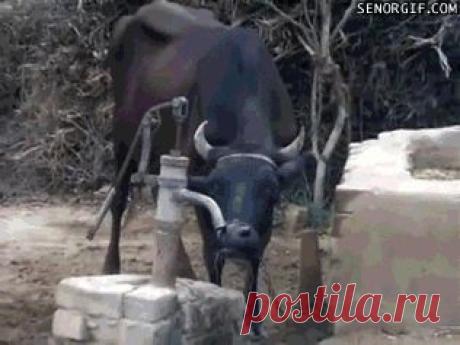 Google+