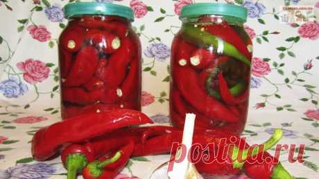 Засолка острого перца на зиму - Домашняя кулинария - медиаплатформа МирТесен