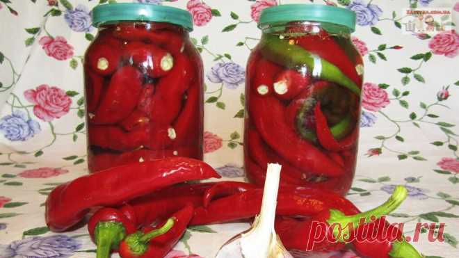 Засолка острого перца на зиму - Домашняя кулинария - медиаплатформа МирТесен