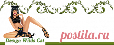 Design Wilds Cat: Decor Elements set1 Декоративные элементы часть1