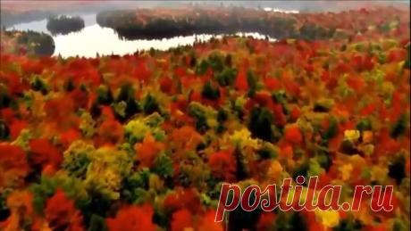 Очень красивая музыка!Чудесный клип!Супер!