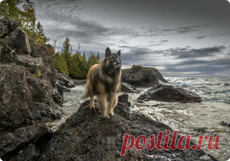 Мой Мир@Mail.Ru