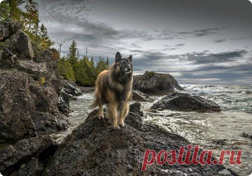 Мой Мир@Mail.Ru