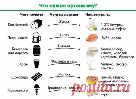 Что нужно организму, когда чего-то хочется?