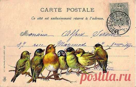 HANDMADE-МУЗЕЙ • Авторская одежда, вещи ручной работы (интернет-магазин) | Рукоделие, дизайнерские вещи, мастер-классы