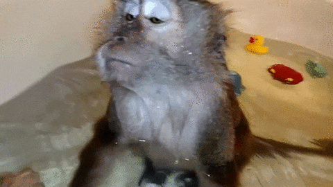 Гифки дня :: NoNaMe